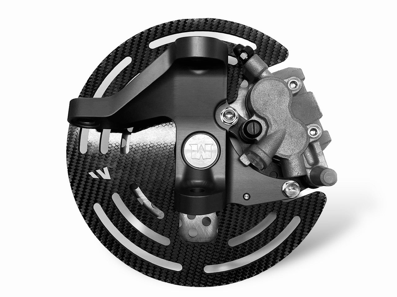 LTR450 SPINDLE CARBON FIBER HD ROCK GUARD / SET FourWerx Carbon