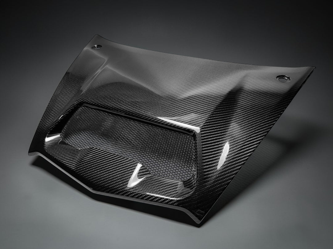 KAWASAKI TERYX H2 | CARBON FIBER HOOD