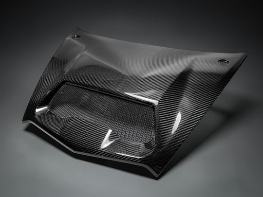 KAWASAKI TERYX H2 | CARBON FIBER HOOD