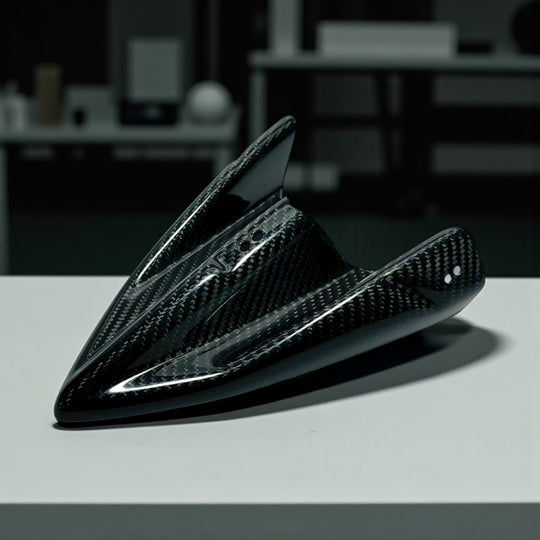 LTR450 CARBON FIBER NOSE