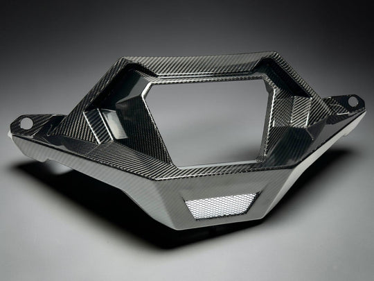 2021 + POLARIS RZR PRO R ( ONLY ) - CARBON FIBER EXHAUST SURROUND