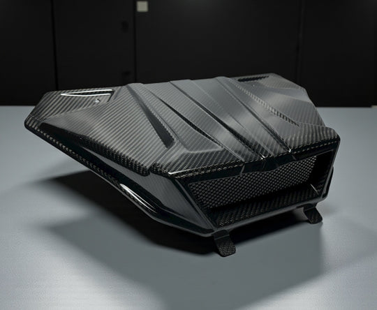 2025+ POLARIS RZR PRO XP / PRO S / PRO R - 'R25' CARBON FIBER HOOD