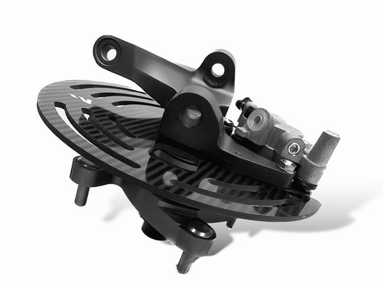 LTR450 SPINDLE | CARBON FIBER HD ROCK GUARD / SET